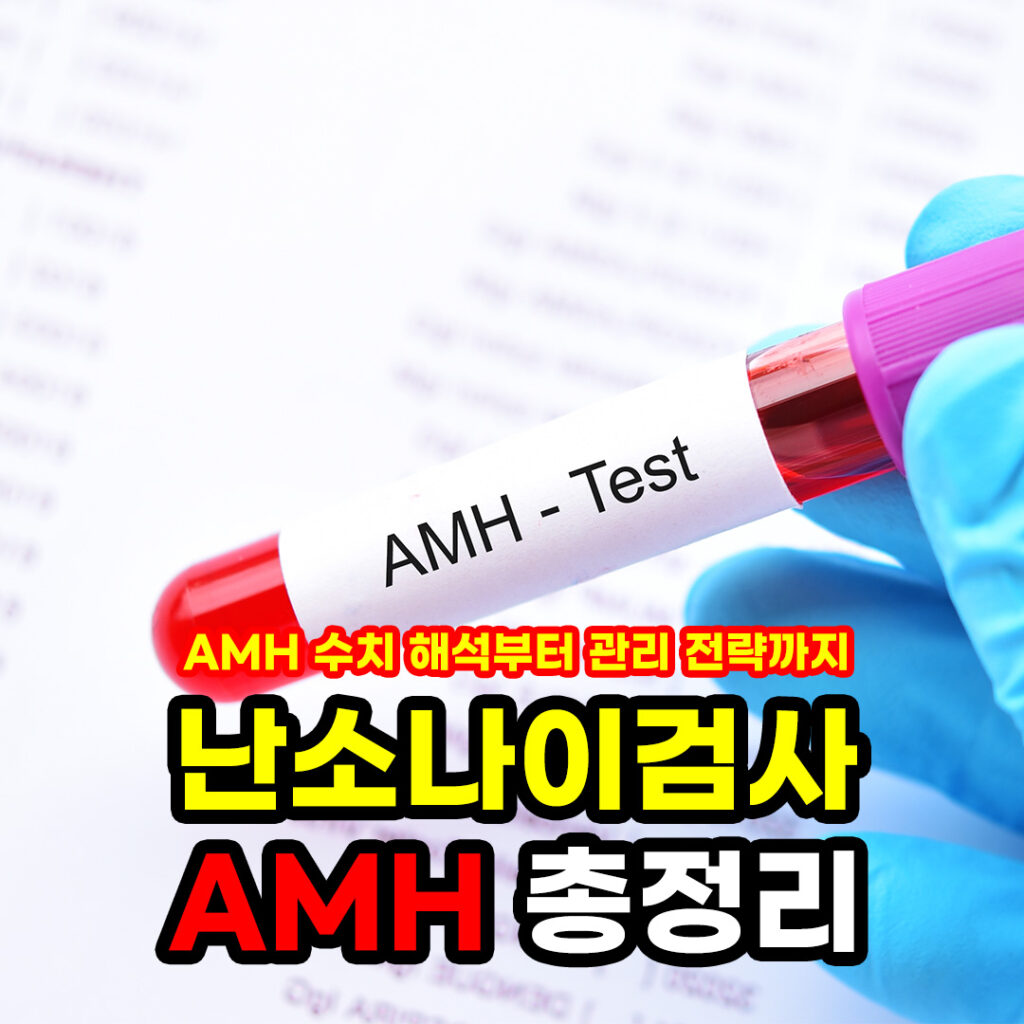 AMH 난소나이검사 총정리 : 수치 해석부터 관리 전략까지