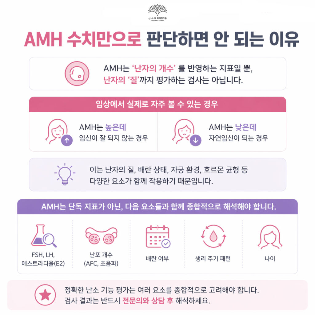 AMH 수치만으로 판단하면 안 되는 이유