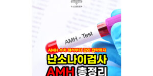 AMH검사 (난소나이검사) 수치 해석부터 관리 전략까지 총정리