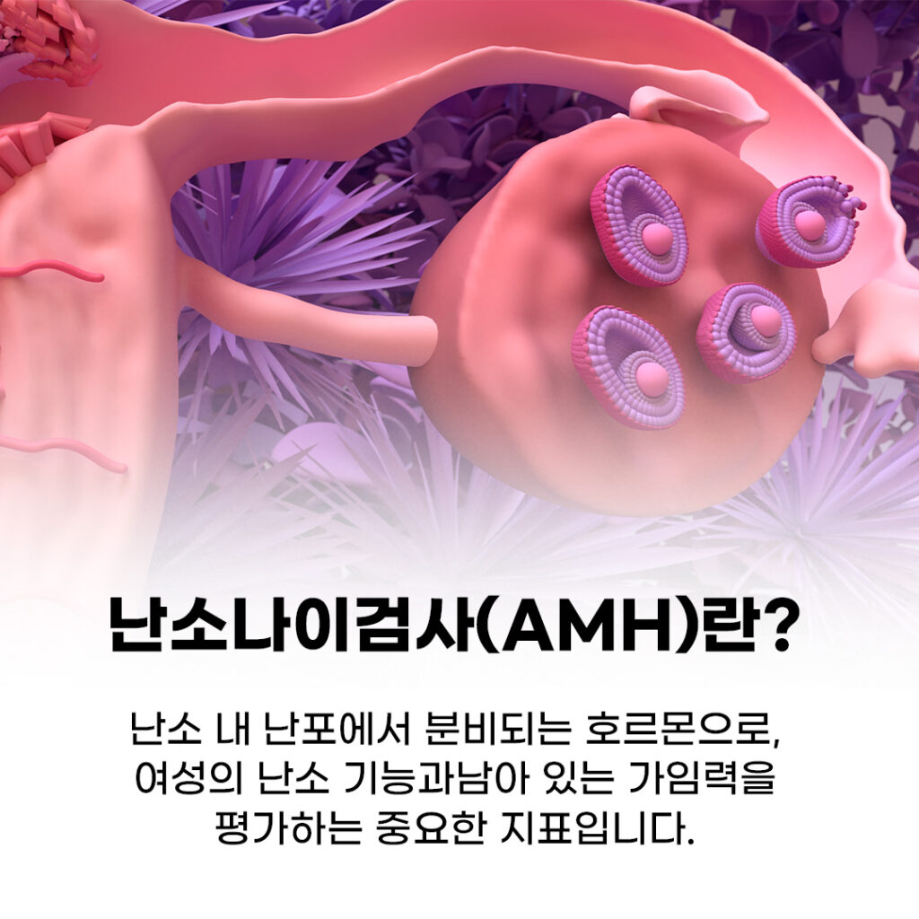 AMH검사 (난소나이검사)란?