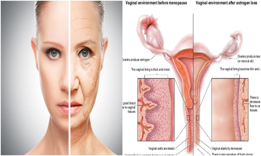 젊음과 노화에 대한 사진