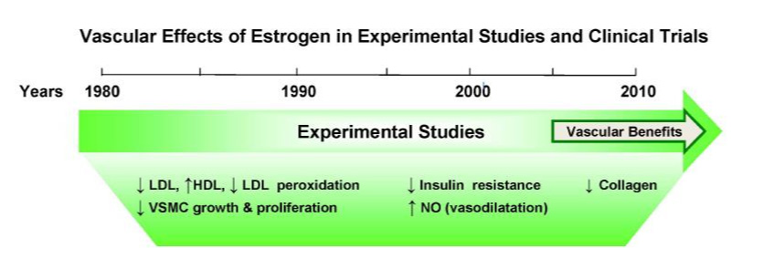 1980년부터 2010년까지의 에스트로겐이 혈관에 미치는 영향을 임상실험한 결과