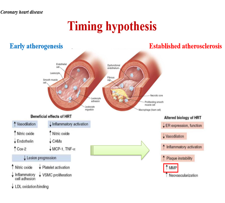 연령에 따른 여성호르몬의 효과 차이