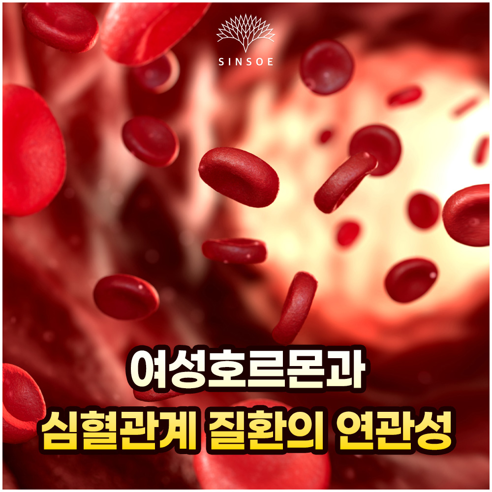 여성호르몬과 심혈관계 질환의 연관성 썸네일