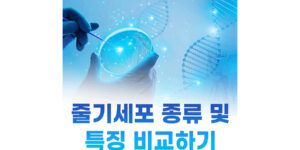 줄기세포종류와 특징 비교