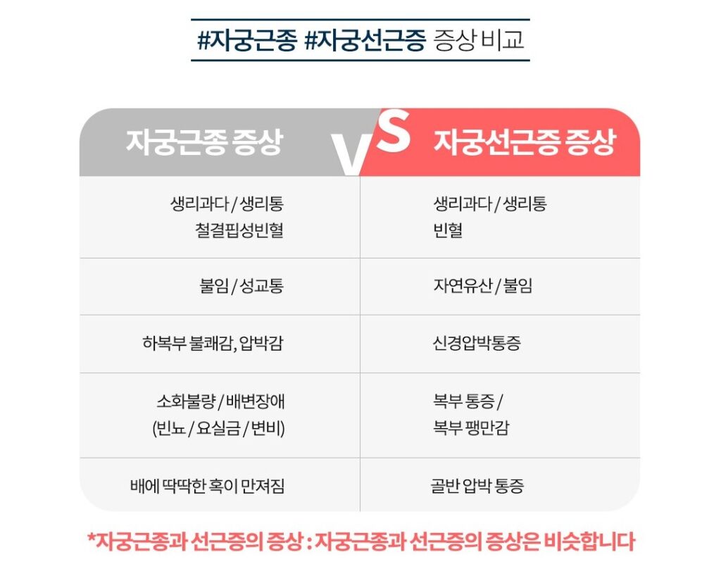 자궁근종과 자궁선근증 증상 비교