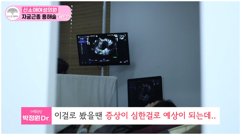 인플루언서 샴공님의 자궁근종수술후기 브이로그_초음파 1