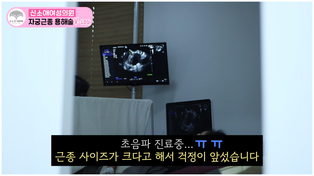인플루언서 샴공님의 자궁근종수술후기 브이로그_초음파 2