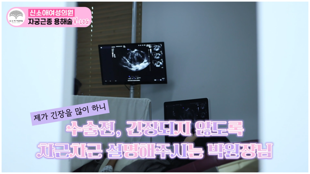 인플루언서 샴공님의 자궁근종수술후기 브이로그_초음파 3