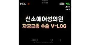 자궁근종수술후기 브이로그 : 신소애여성의원 자궁난소보존클리닉