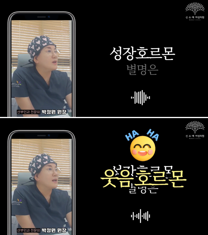 설장호르몬 별면 웃음호르몬