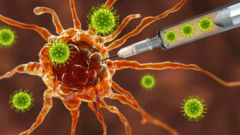 암이 있다고 해서 모든 환자에게 적합한 방법일까? NK면역세포주사치료